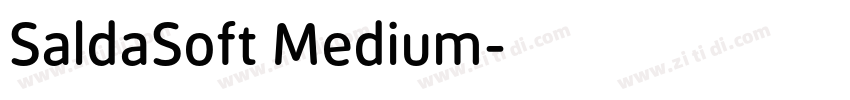 SaldaSoft Medium字体转换